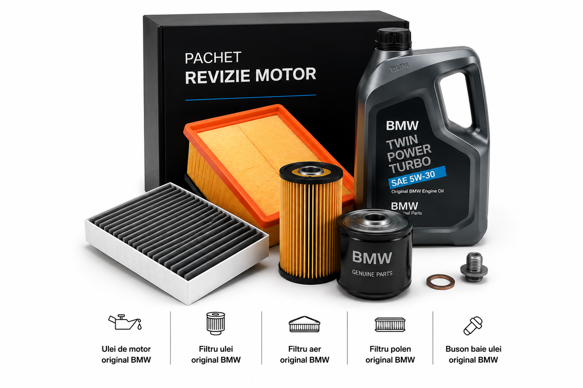 Pachete Revizie Motor