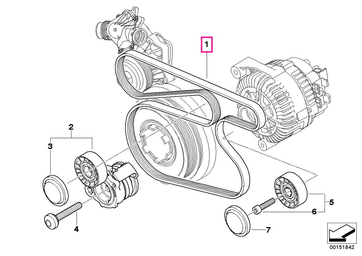 11287795601 Ribbed v-belt 6PK X 1683 - BMW