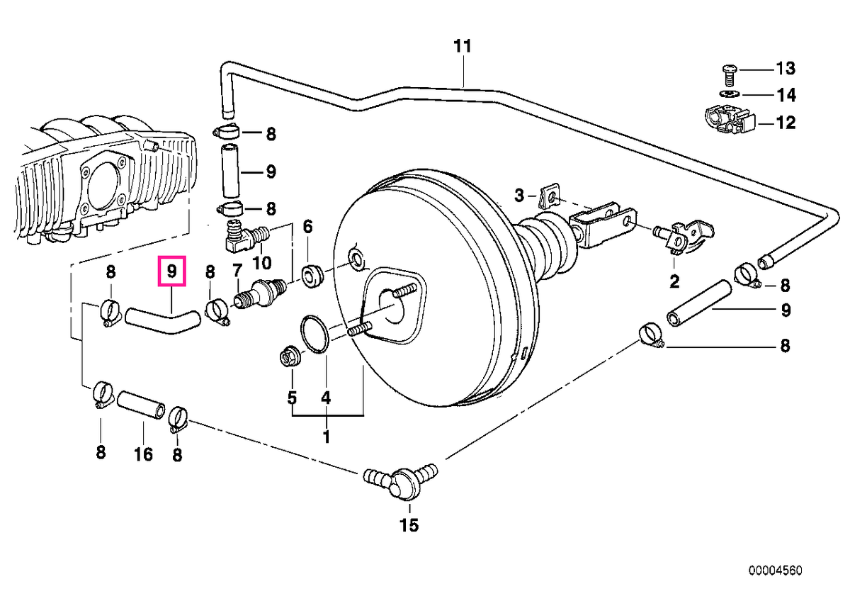 34331162954 Cot furtun - BMW